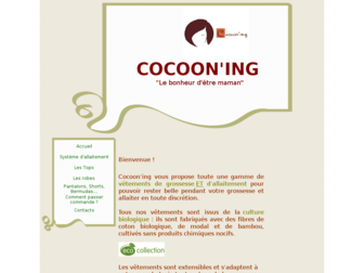 cocooning974.com website preview