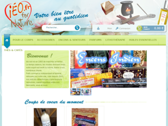 ieo.fr website preview