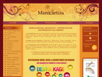 maroc-artiza.com website preview