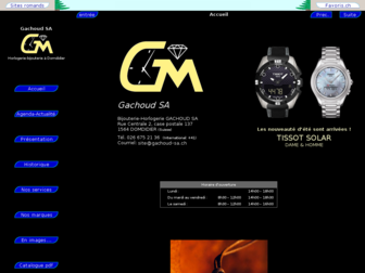 gachoud-sa.ch website preview