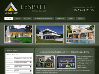lesprit-immobilier.com website preview