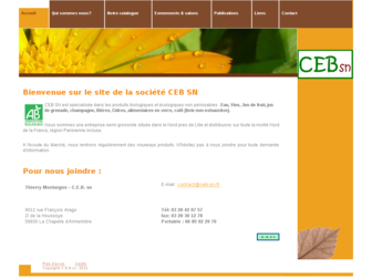 ceb-sn.fr website preview