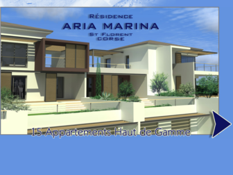ariamarina-stflorent.com website preview