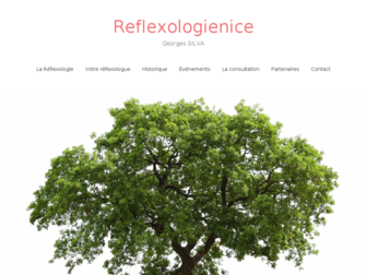 reflexologienice.fr website preview