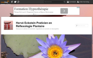 eckstein-reflexologie.overblog.com website preview