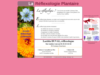 reflexologie.cetipabio.com website preview