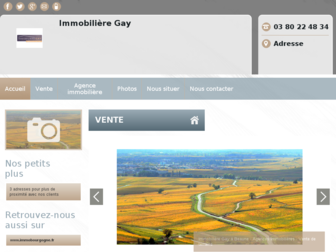 immobiliere-gay-beaune.fr website preview