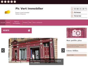 pic-vert-immobilier.fr website preview