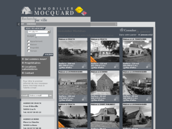 immobilier-mocquard.com website preview