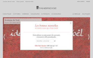 stanbridge.fr website preview