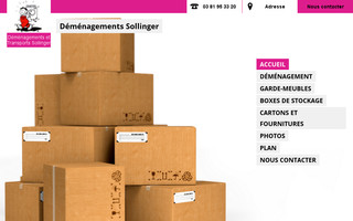 demenagements-sollinger25.fr website preview