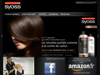 saintalgue-syoss.fr website preview