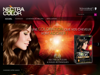 nectra-color.fr website preview