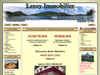 leroyimmobilier.fr website preview