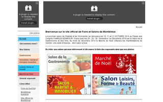 foire-salons-montelimar.fr website preview