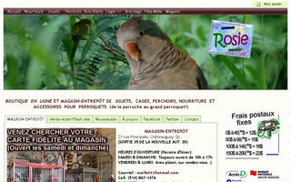 lesjouetsrosie.com website preview