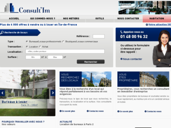consult-im.com website preview