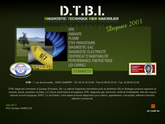 dtbi.fr website preview