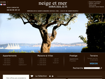 netm.fr website preview