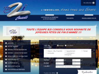 b2i-conseils.fr website preview