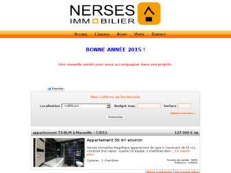 nerses-immobilier.com website preview
