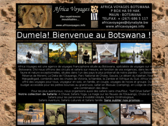 africavoyages.info website preview