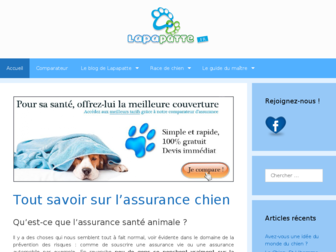 lapapatte.fr website preview