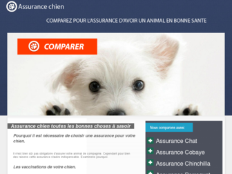 123-assurance-chien.fr website preview
