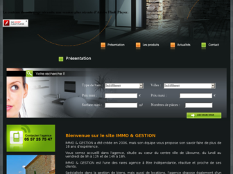 immoetgestion.fr website preview