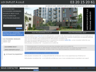 duflot-lille-loi.fr website preview