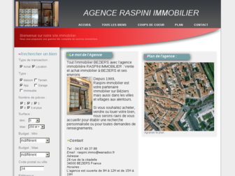 agence-raspini-immobilier.fr website preview
