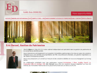 deruel-patrimoine.com website preview