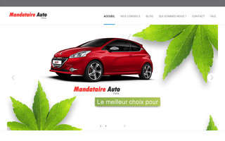 mandataire-auto-paris.com website preview