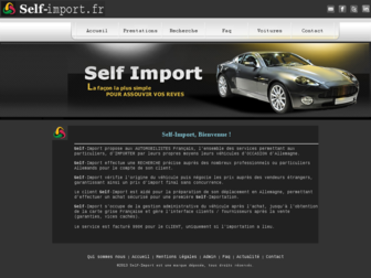 self-import.fr website preview