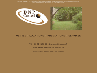 dnp-immobilier41.fr website preview