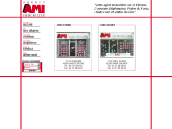 aami-immobilier.fr website preview