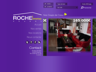roche-immo.fr website preview