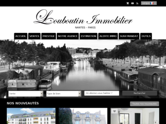 louboutin-immobilier.com website preview