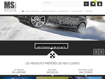 msdrive.fr website preview
