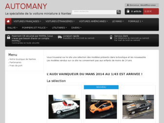 automany.fr website preview