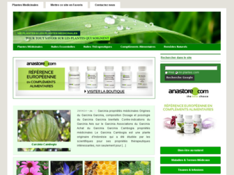 mr-plantes.com website preview