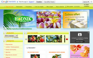 hodnik.com website preview
