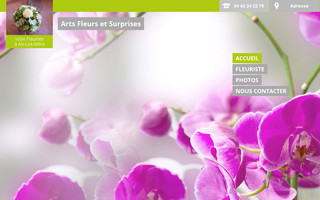arts-fleurs-surprises.fr website preview