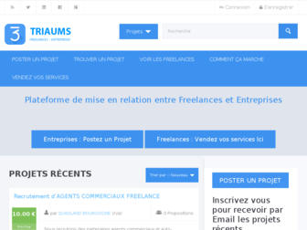 freelance.triaums.fr website preview