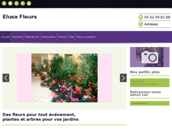 elusa-fleurs-horticulture.fr website preview