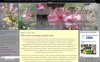 brindillverte.canalblog.com website preview
