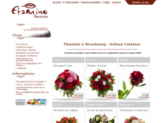 etamine-boutique.fr website preview