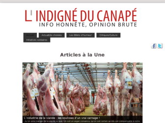 indigne-du-canape.com website preview