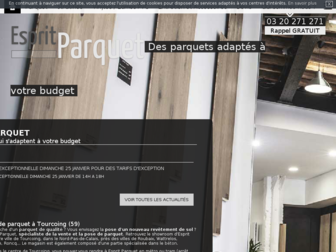 esprit-parquet.com website preview