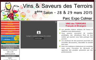 vins-saveurs.fr website preview
